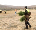 Veseli në Gjilan, mbjell fidane dhe bën thirrje për ruajtje të ambientit